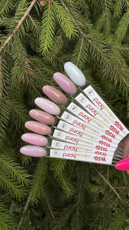 BSG   Base Colloration Hard   #01   20мл   База камуфлирующая жесткая