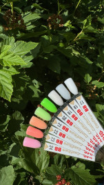 BSG   KONFITYUR BB   #23   ВЫСОКАЯ ВЯЗКОСТЬ   13г (шайба)   Гель для моделирования густой