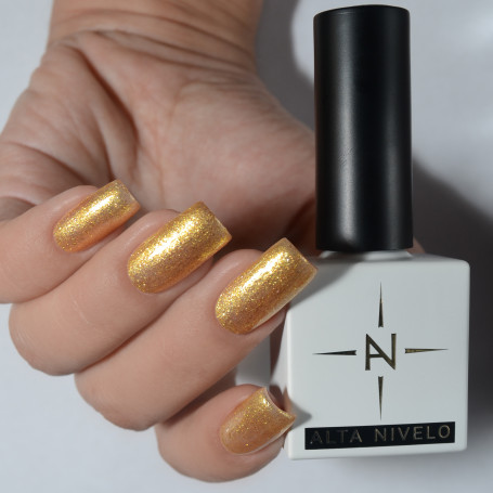 ALTA NIVELO   Гель-лак с шиммером   10мл   VOYAGE   #79