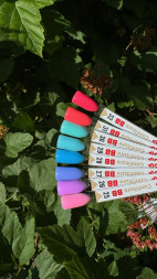 BSG   Гель для моделирования густой   ВЫСОКАЯ ВЯЗКОСТЬ   13г (шайба)   KONFITYUR   #31