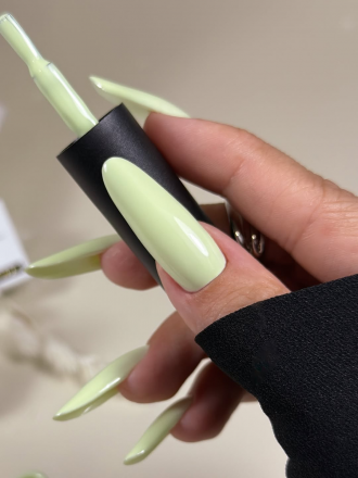 ALTA NIVELO   #282 ТИХАЯ РОСКОШЬ   10мл   Гель-лак