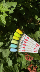 BSG   Гель для моделирования густой   ВЫСОКАЯ ВЯЗКОСТЬ   13г (шайба)   KONFITYUR   #34