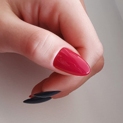 BSG   Base Colloration Hard   #17   20мл   База цветная жесткая