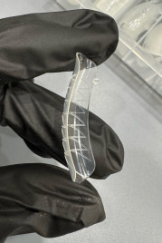 ONE NAIL &amp; GRAPE   Верхние формы   120шт   КЛАССИЧЕСКИЙ ИЗГИБ   #2