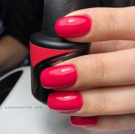 LUXIO #041 SWAN 15мл Гель-лак (100% гель)