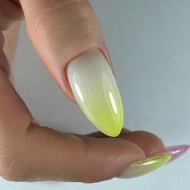 BSG   ПОЛИЖЕЛЕ   #06   13г (банка)   Полигель неоновый