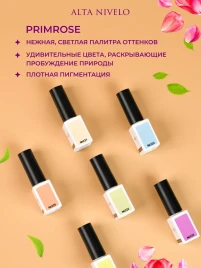 ALTA NIVELO   НАБОР   #220-225 PRIMOROSE   6*10мл   Гель-лаки   [54]