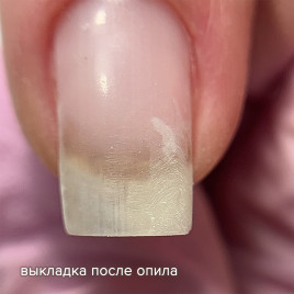 BSG   ПОЛИЖЕЛЕ   #08   13г (банка)   Полигель