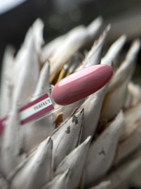 TIES Гель-лак 10мл PERFECT #074