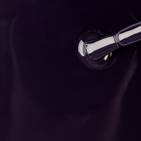 IQ BEAUTY   Prolac   #115 WE ARE ONE   12,5мл   Лак для ногтей с биокерамикой