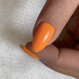 BSG   Base Colloration Hard   #42   20мл   База цветная жесткая