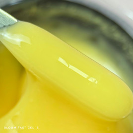 BLOOM   Gel FAST   #15   15мл   Гель для моделирования
