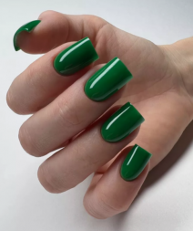 BSG   Гель для моделирования жидкий   13г (шайба)   НИЗКАЯ ВЯЗКОСТЬ   KONFITYUR   #05