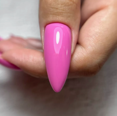 BSG   KONFITYUR HB   #24   НИЗКАЯ ВЯЗКОСТЬ   13г (шайба)   Гель для моделирования средне-жидкий