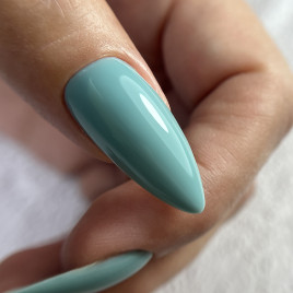 BSG   Base Colloration Hard   #115   20мл   База цветная жесткая