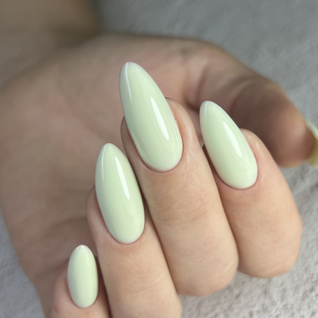 BSG   Base Colloration Hard   #117   20мл   База цветная жесткая