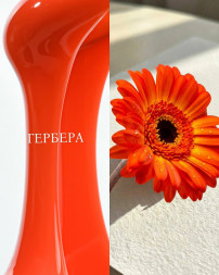 KLIO   Gel Unique   ГЕРБЕРА   15г   Гель для моделирования средне-жидкий цветной