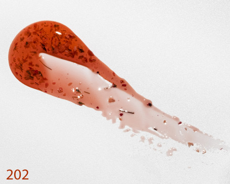 NAIL REPUBLIC   Base SAKURA   #202   5г (банка)   База камуфлирующая с сухоцветами