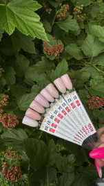 BSG   KONFITYUR BB   #01   ВЫСОКАЯ ВЯЗКОСТЬ   13г (шайба)   Гель для моделирования густой