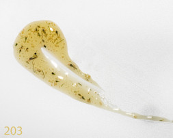 NAIL REPUBLIC   Base SAKURA   #203   5г (банка)   База камуфлирующая с сухоцветами