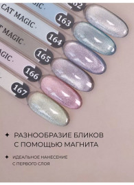 ALTA NIVELO   Гель-лак кошачий глаз   10мл   CAT MAGIC   #164