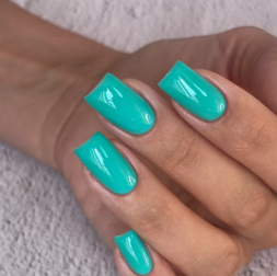 BSG   Гель для моделирования жидкий   13г (шайба)   НИЗКАЯ ВЯЗКОСТЬ   KONFITYUR   #41